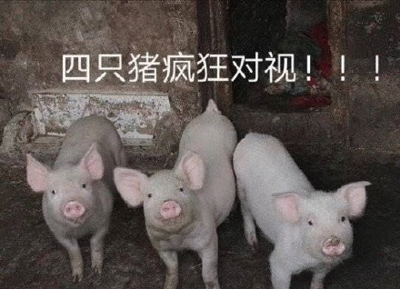 示例图片